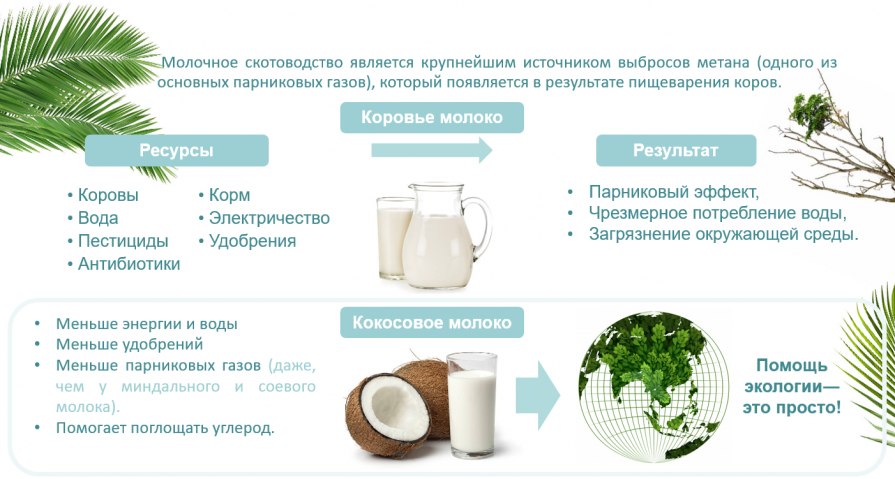 Кокосовое молоко за экологию планеты