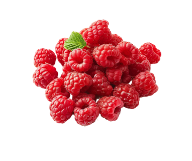 Главная